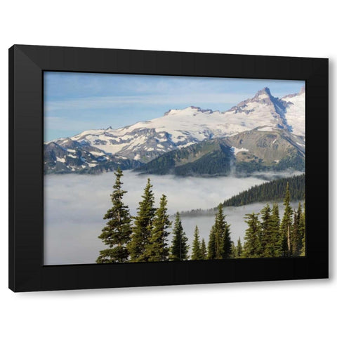 WA, Mt Rainier NP Landscape from Sunrise Point Black Modern Wood Framed Art Print by Paulson, Don
