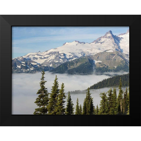WA, Mt Rainier NP Landscape from Sunrise Point Black Modern Wood Framed Art Print by Paulson, Don