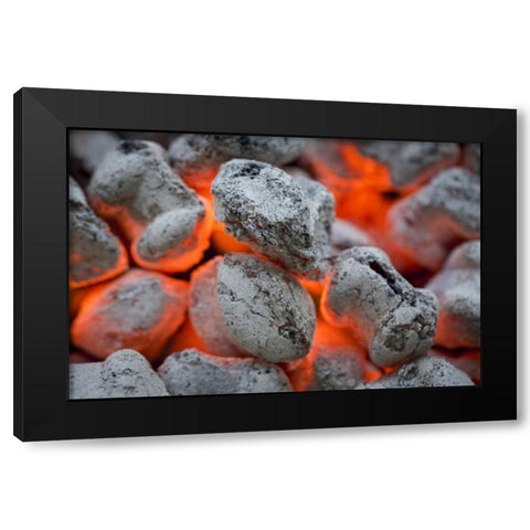 Washington, Seabeck Close-up of hot charcoal Black Modern Wood Framed Art Print with Double Matting by Paulson, Don