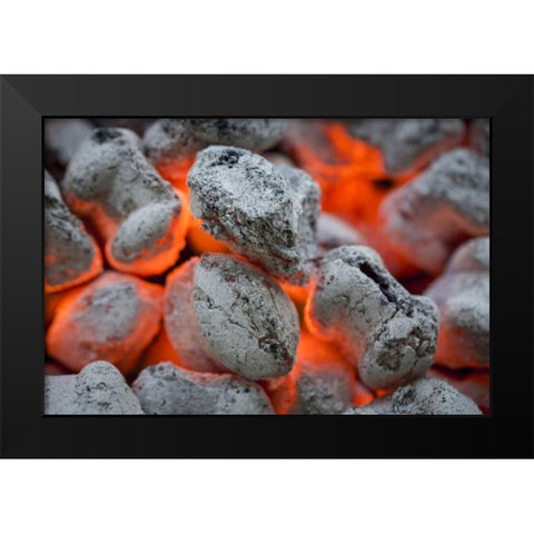 Washington, Seabeck Close-up of hot charcoal Black Modern Wood Framed Art Print by Paulson, Don