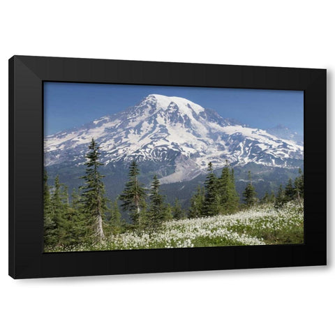 Washington Avalanche lilies and Mount Rainier Black Modern Wood Framed Art Print with Double Matting by Paulson, Don