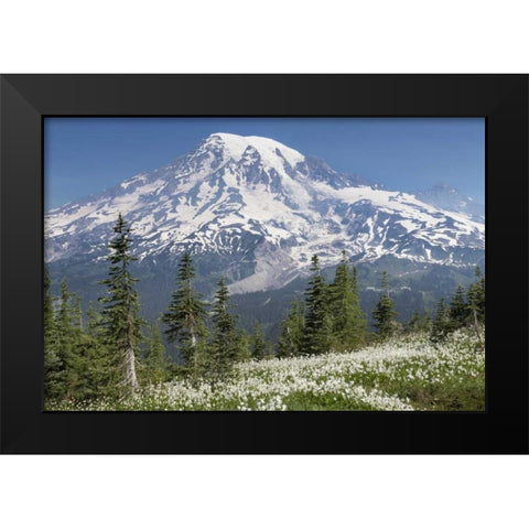 Washington Avalanche lilies and Mount Rainier Black Modern Wood Framed Art Print by Paulson, Don