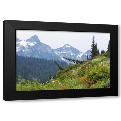 WA Alpine meadow and Tatoosh Range Black Modern Wood Framed Art Print with Double Matting by Paulson, Don