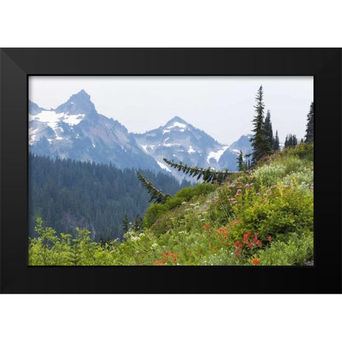 WA Alpine meadow and Tatoosh Range Black Modern Wood Framed Art Print by Paulson, Don
