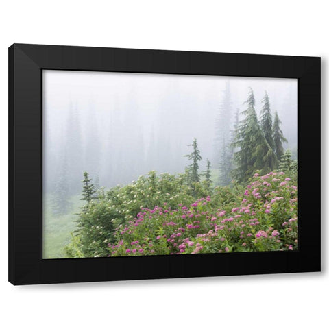 WA, Mount Rainier NP flowers in misty forest Black Modern Wood Framed Art Print with Double Matting by Paulson, Don