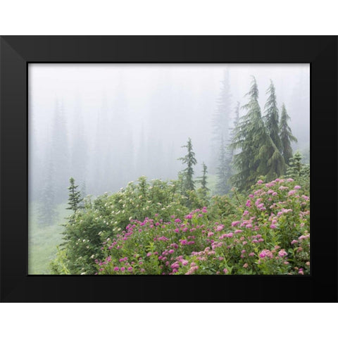 WA, Mount Rainier NP flowers in misty forest Black Modern Wood Framed Art Print by Paulson, Don