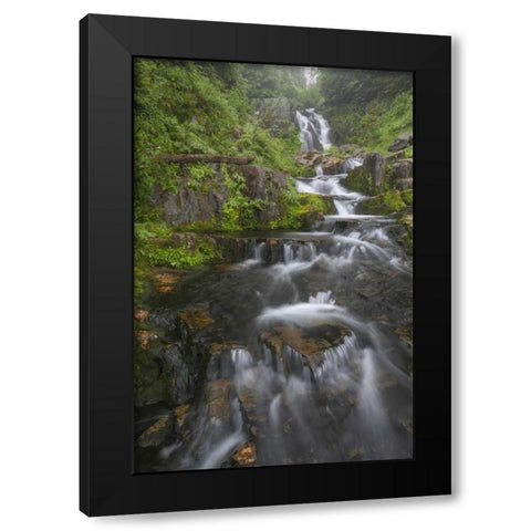WA, Mount Rainier NP Cascades on Sunbeam Creek Black Modern Wood Framed Art Print with Double Matting by Paulson, Don