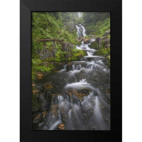 WA, Mount Rainier NP Cascades on Sunbeam Creek Black Modern Wood Framed Art Print by Paulson, Don