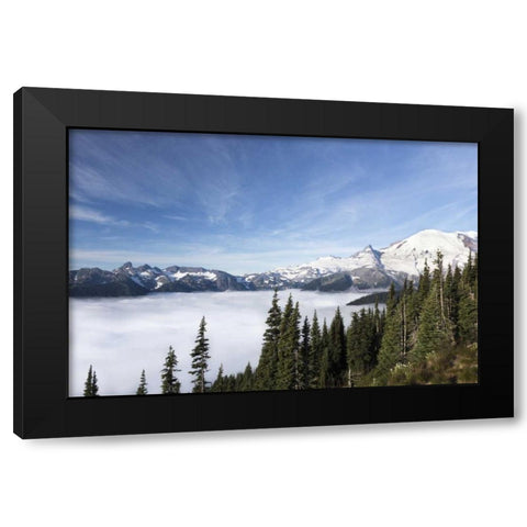 Washington, Mount Rainier NP Sunrise Point Black Modern Wood Framed Art Print with Double Matting by Paulson, Don