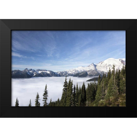 Washington, Mount Rainier NP Sunrise Point Black Modern Wood Framed Art Print by Paulson, Don