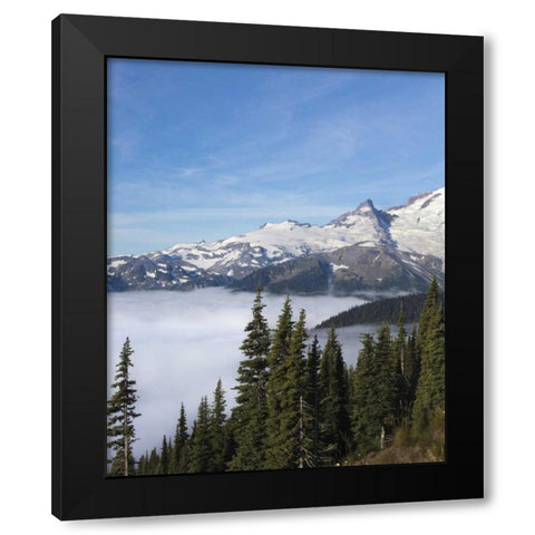 Washington, Mount Rainier NP Sunrise Point Black Modern Wood Framed Art Print with Double Matting by Paulson, Don