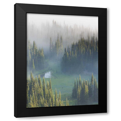 WA, Mount Rainier NP Overview of Surprise Lake Black Modern Wood Framed Art Print with Double Matting by Paulson, Don