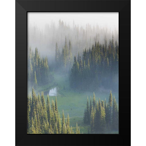 WA, Mount Rainier NP Overview of Surprise Lake Black Modern Wood Framed Art Print by Paulson, Don