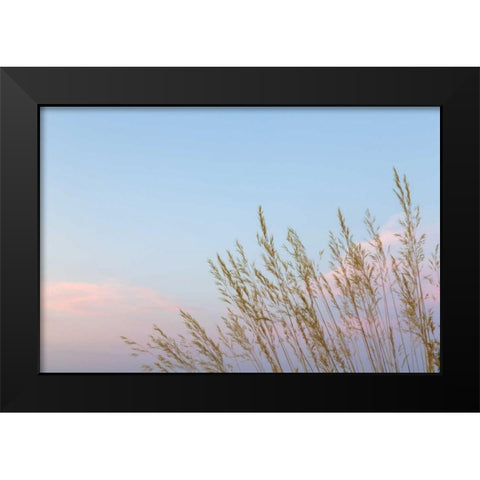 Washington, Seabeck Grasses at sunset Black Modern Wood Framed Art Print by Paulson, Don