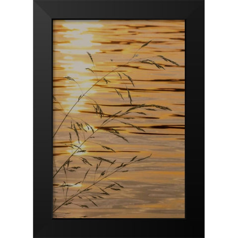 Washington Sunset on water and grasses Black Modern Wood Framed Art Print by Paulson, Don