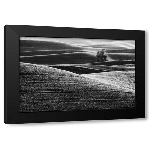 USA, Washington Farm country near Steptoe Butte Black Modern Wood Framed Art Print with Double Matting by Flaherty, Dennis