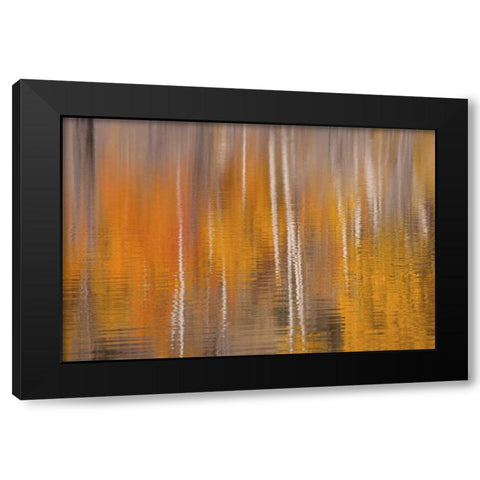 WA, Winthrop Autumn reflections on Beaver Pond Black Modern Wood Framed Art Print with Double Matting by Paulson, Don