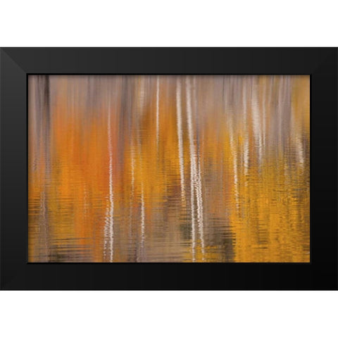 WA, Winthrop Autumn reflections on Beaver Pond Black Modern Wood Framed Art Print by Paulson, Don