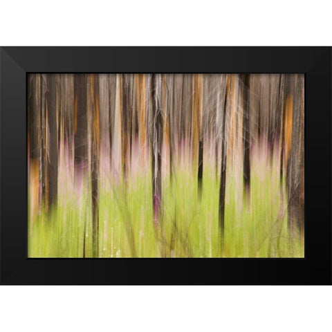 Canada, BC, Motion blur of grass and trees Black Modern Wood Framed Art Print by Paulson, Don