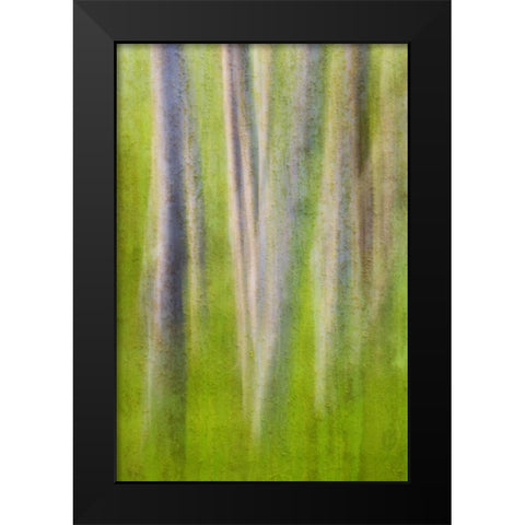 USA, Washington State Alder tree abstract Black Modern Wood Framed Art Print by Paulson, Don