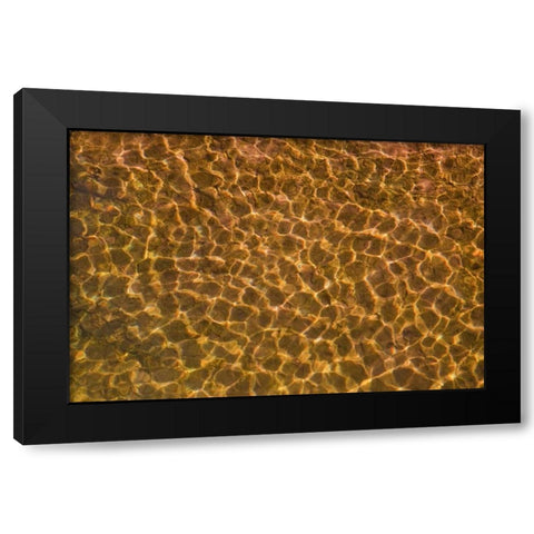 UT, Glen Canyon Sunlight in shallow water Black Modern Wood Framed Art Print with Double Matting by Paulson, Don