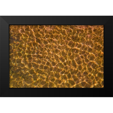 UT, Glen Canyon Sunlight in shallow water Black Modern Wood Framed Art Print by Paulson, Don