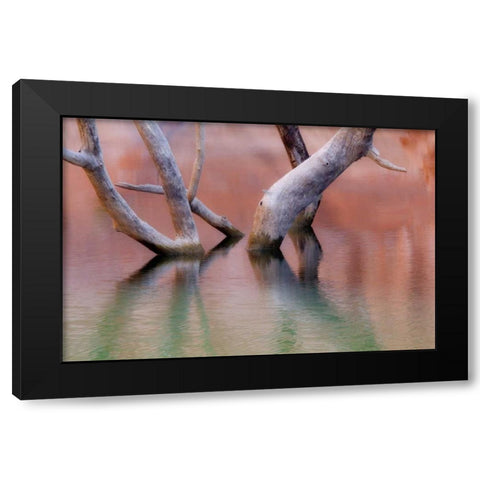 Utah, Glen Canyon Dead cottonwood trunks in lake Black Modern Wood Framed Art Print by Paulson, Don