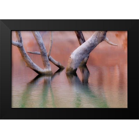 Utah, Glen Canyon Dead cottonwood trunks in lake Black Modern Wood Framed Art Print by Paulson, Don