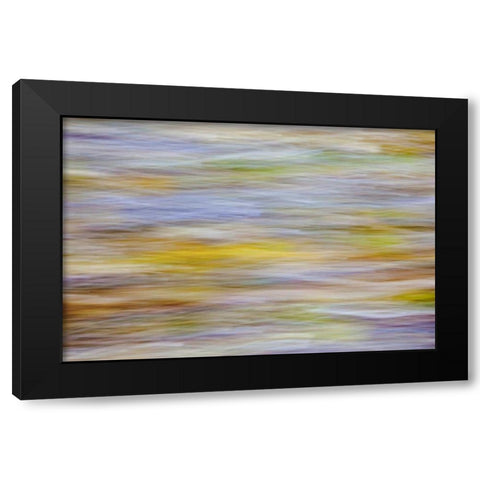 WA, Seabeck Motion blur of fall leaves on beach Black Modern Wood Framed Art Print with Double Matting by Paulson, Don