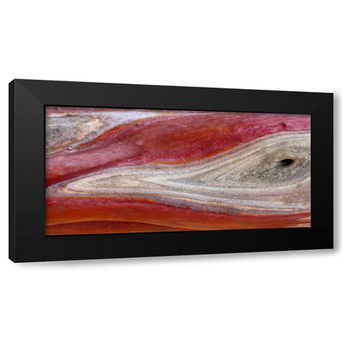 California, Mount Diablo SP Manzanita wood Black Modern Wood Framed Art Print with Double Matting by Paulson, Don