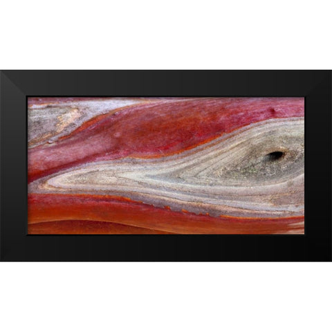 California, Mount Diablo SP Manzanita wood Black Modern Wood Framed Art Print by Paulson, Don