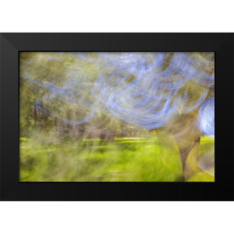 Mexico, Tecate Motion blurred outside abstract Black Modern Wood Framed Art Print by Paulson, Don