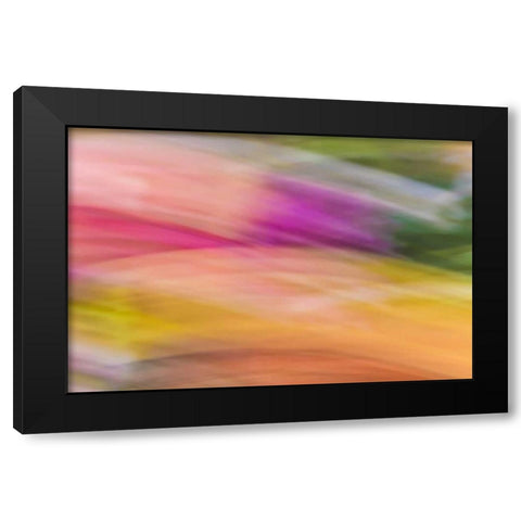 Mexico, Baja California, Tecate Abstract wash Black Modern Wood Framed Art Print by Paulson, Don