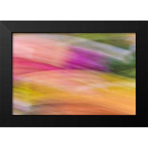 Mexico, Baja California, Tecate Abstract wash Black Modern Wood Framed Art Print by Paulson, Don