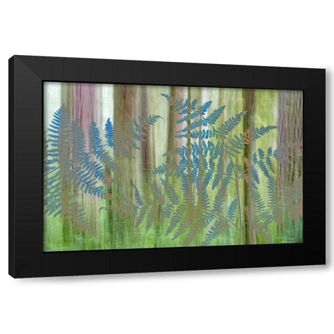 WA, Seabeck Collage of bracken ferns and forest Black Modern Wood Framed Art Print with Double Matting by Paulson, Don