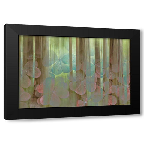 Washington, Seabeck Collage of oxalis and trees Black Modern Wood Framed Art Print by Paulson, Don