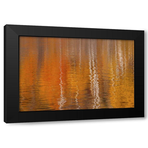 WA, Winthrop Autumn reflections on Beaver Pond Black Modern Wood Framed Art Print with Double Matting by Paulson, Don
