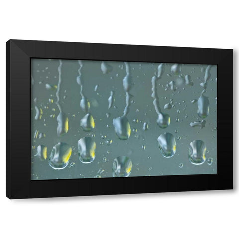 Washington State, Seabeck Raindrops on a window Black Modern Wood Framed Art Print with Double Matting by Paulson, Don
