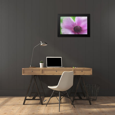 Washington, Seabeck Garden Flower Anemone Black Modern Wood Framed Art Print by Paulson, Don