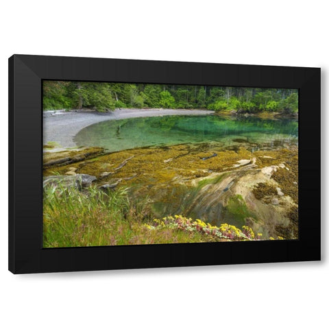Washington Secluded bay on Sucia Island Black Modern Wood Framed Art Print with Double Matting by Paulson, Don