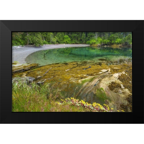 Washington Secluded bay on Sucia Island Black Modern Wood Framed Art Print by Paulson, Don
