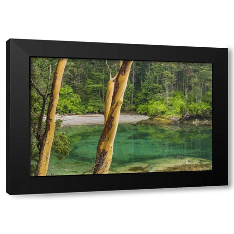 Washington Secluded bay on Sucia Island Black Modern Wood Framed Art Print with Double Matting by Paulson, Don