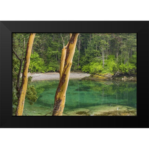 Washington Secluded bay on Sucia Island Black Modern Wood Framed Art Print by Paulson, Don