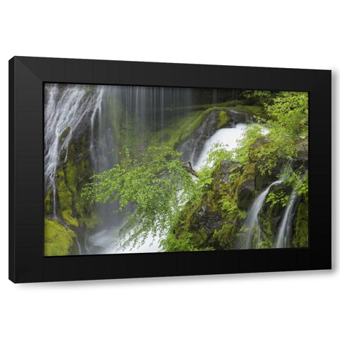 Washington Spring Panther Creek Waterfall Black Modern Wood Framed Art Print with Double Matting by Paulson, Don