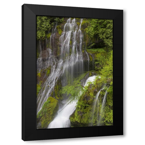 Washington Spring Panther Creek Waterfall Black Modern Wood Framed Art Print with Double Matting by Paulson, Don