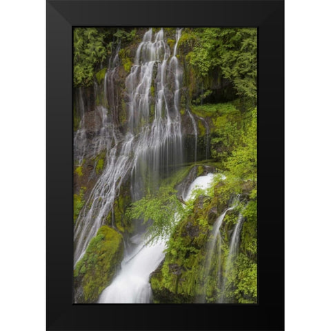 Washington Spring Panther Creek Waterfall Black Modern Wood Framed Art Print by Paulson, Don