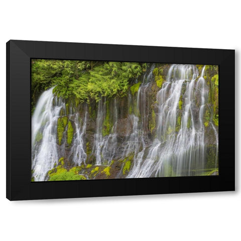 Washington Spring Panther Creek Waterfall Black Modern Wood Framed Art Print with Double Matting by Paulson, Don