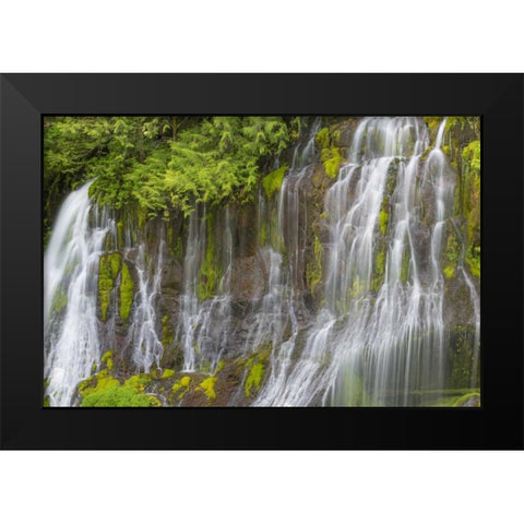 Washington Spring Panther Creek Waterfall Black Modern Wood Framed Art Print by Paulson, Don
