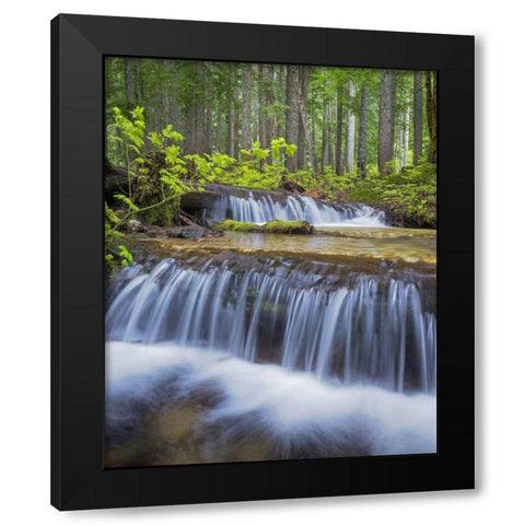 WA, Gifford Pinchot NF Waterfall and forest Black Modern Wood Framed Art Print with Double Matting by Paulson, Don
