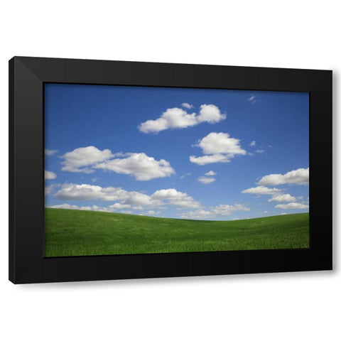 Washington, Palouse Green wheat field landscape Black Modern Wood Framed Art Print by Flaherty, Dennis